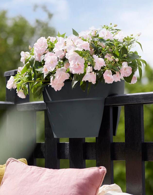 antracytowa doniczka na balustradę elho vibia flover bridge vibia
