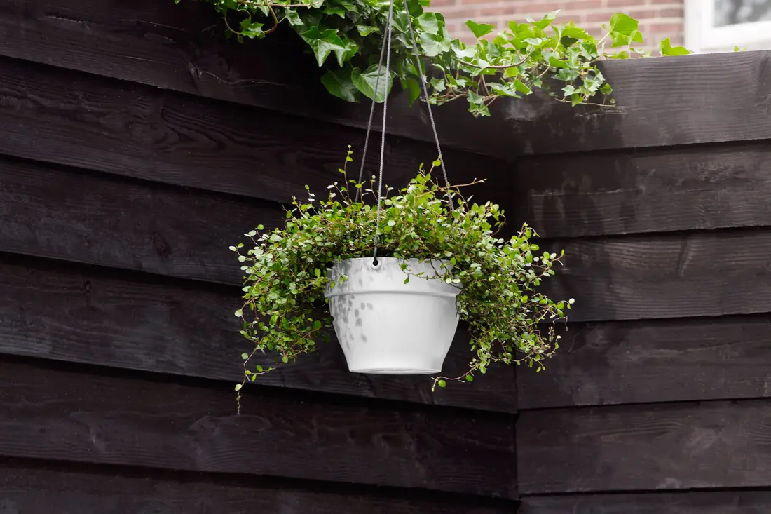 doniczka na balkon wisząca biała vibia hanging basket