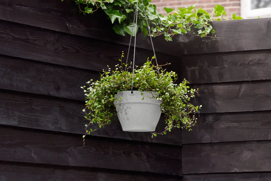 doniczka na balkon wisząca szara vibia hanging basket
