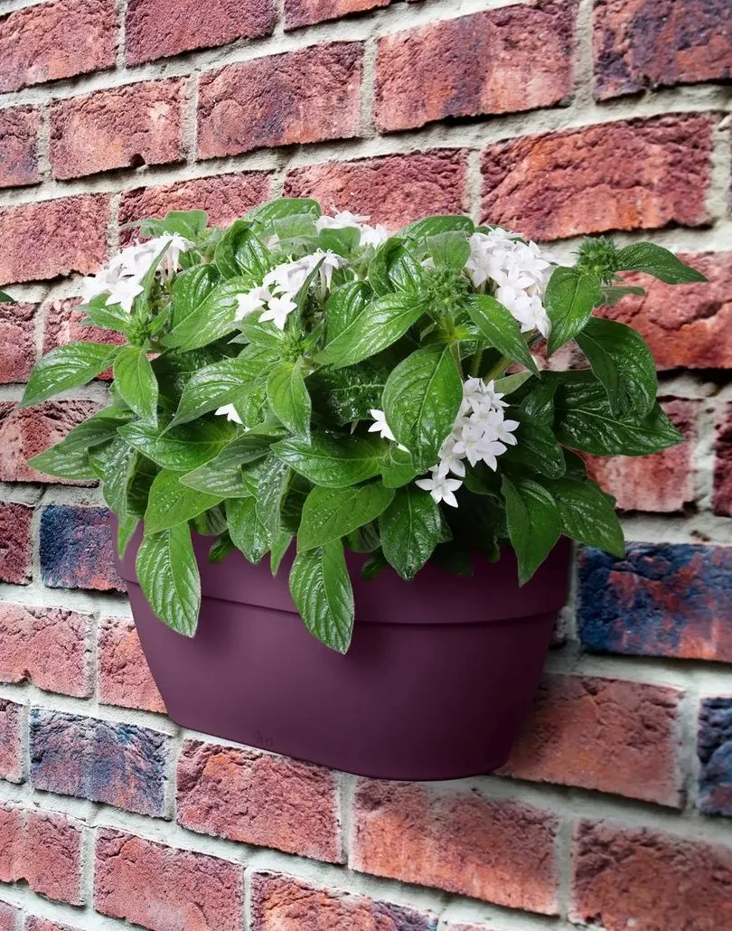 doniczka na ścianę fioletowa vibia wall