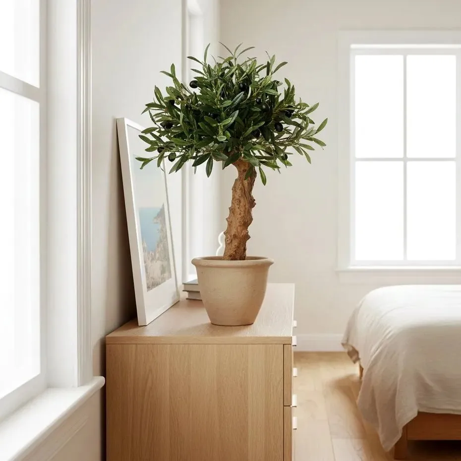  sztuczna oliwka na komodzie