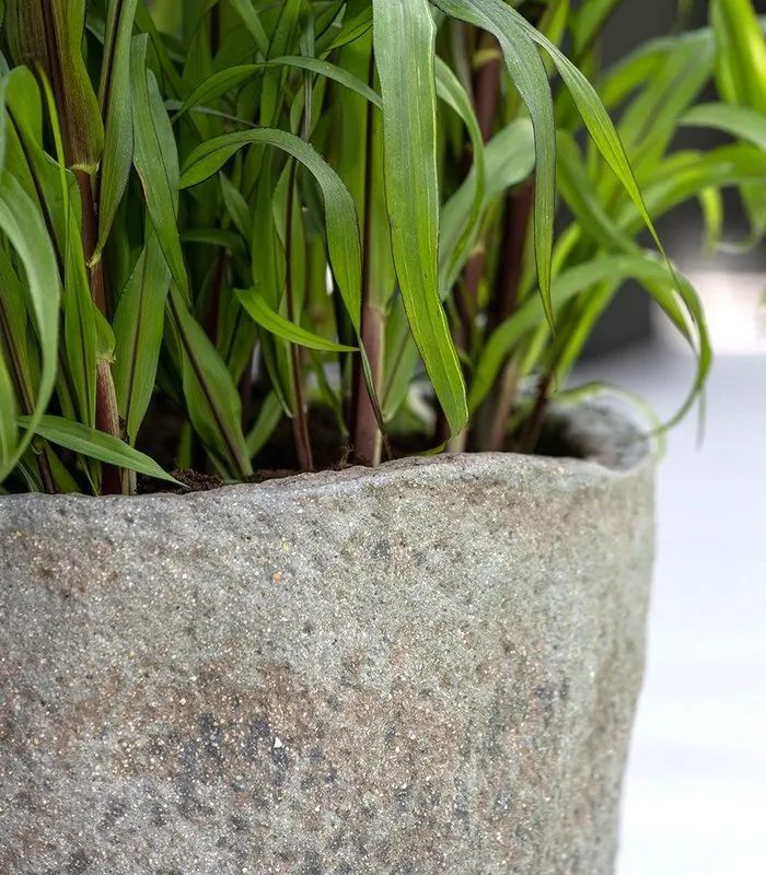 faktura donicy Russell Pottery Pots