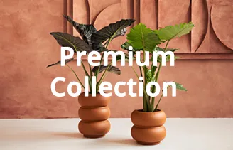 Premium Collection