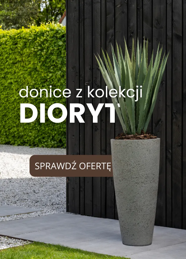 Dioryt skała głębionowa