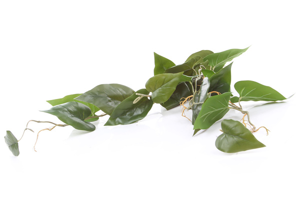 Sztuczny Filodendron wiszący pnącze 115 cm