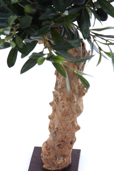 Sztuczna niska Oliwka na grubym pniu 60 cm