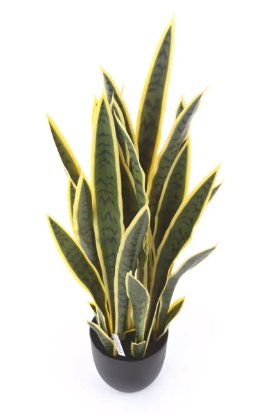 Sztuczna Sanseveria laurentii 90 cm zielono-żółta
