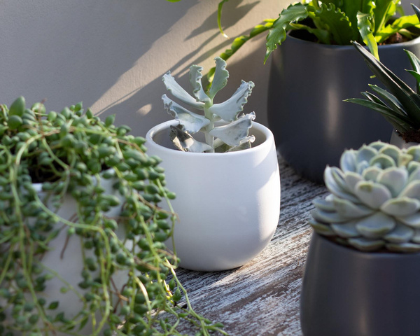 Vitoria 11/11 osłonka ceramiczna biała