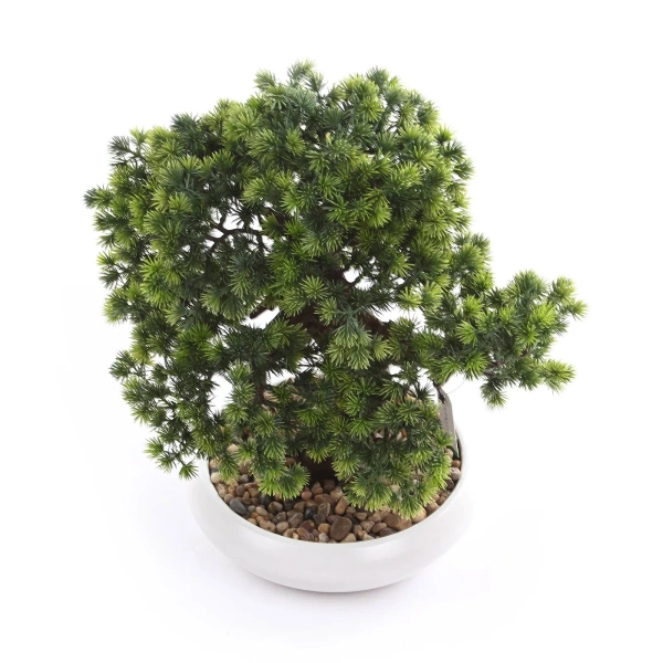 Sztuczny bonsai cryptomeria japonicai 37 cm w białej niskiej doniczce