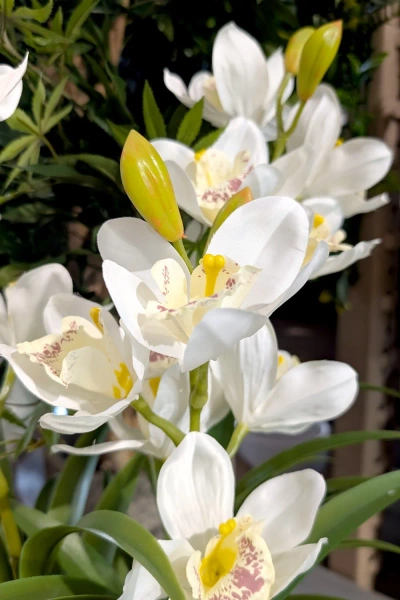 Sztuczny storczyk Cymbidium biały 70 cm w doniczce