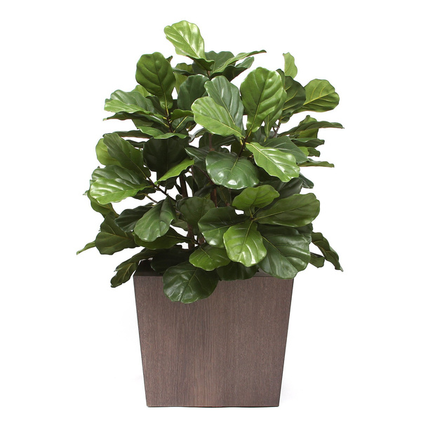 NATURA 45x45/40 donica dębowa ciemna