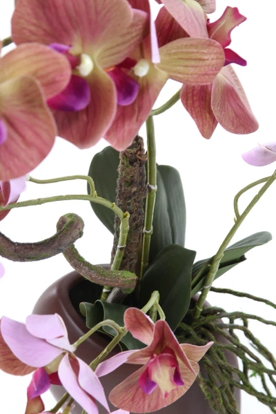 Sztuczny Phalenopsis liliowy 70 cm w brązowej donicy