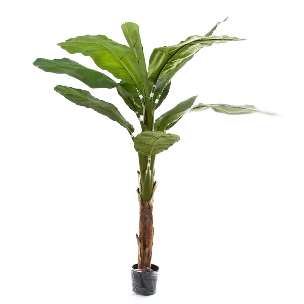 Sztuczny Bananowiec 165 cm