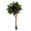 Sztuczne drzewko Fikus Elastica 155 cm 141 liści drewniany pień