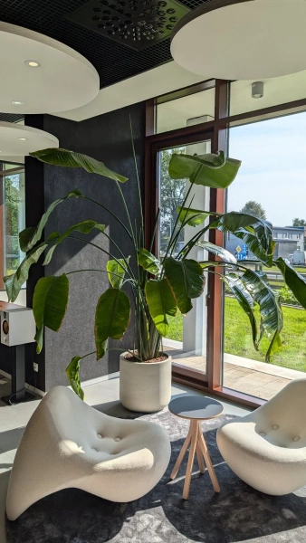 Jumbo Charlie M 84/80 beżowa duża donica kamienna