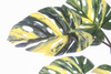 Sztuczna Monstera dziurawa Variegata zielono-żółta 120 cm