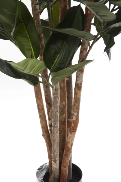 Sztuczny Fikus Elastica Robusta 170 cm