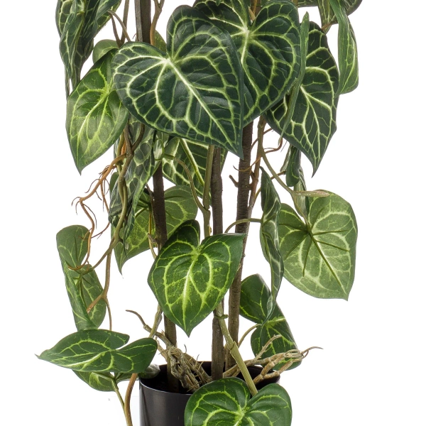 Sztuczne Anturium 75 3 pnie