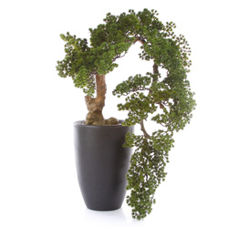 Sztuczne drzewko Modrzew Bonsai Larch Han-Kengai 90 cm