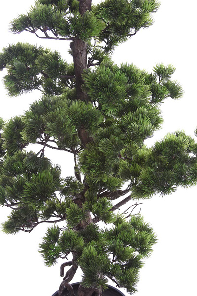 Sztuczny wysoki Bonsai Pinia Sosna140 cm