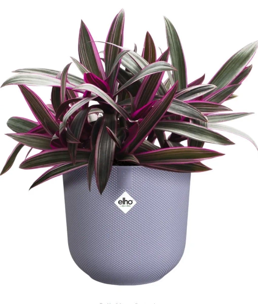 Jazz Elho 19 lawendowa osłonka z fakturą w kropki