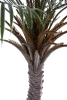 Sztuczna Palma 180 cm do ogrodu i na taras UV Weatherproof