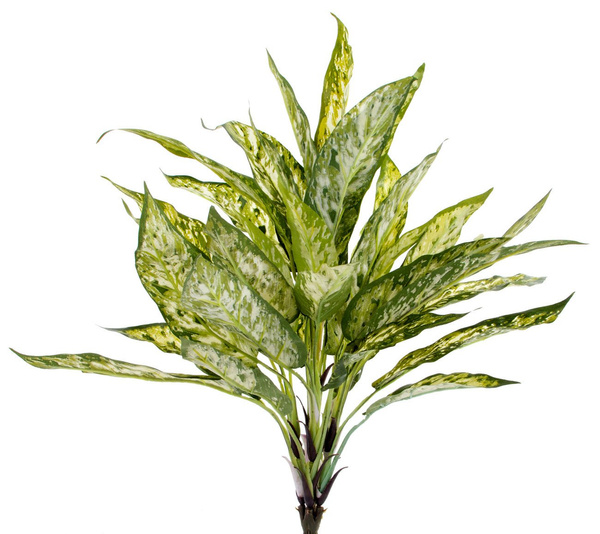 Sztuczna Aglaonema Bush 50 cm