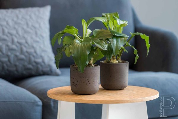 Charlie XS 12/11,5 brązowa doniczka walec kamienna czekoladowa