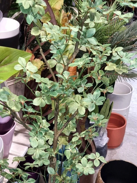 Sztuczna Nasturcja drzewko 185 cm