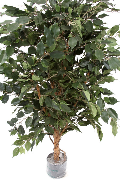 Sztuczne drzewko Fikus Exotica De Luxe 150 cm bardzo gęsty 1705 liści