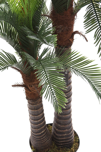 Sztuczna palma Cykas 150 cm 2 pnie