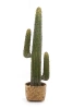 Sztuczny Kaktus Mexican 125 cm