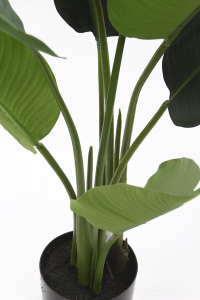 Sztuczna strelicja 120 cm 8 dużych liści