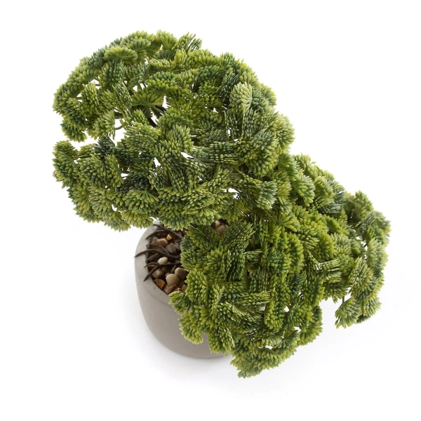 Sztuczny Bonsai Sedum Multiceps 25 cm w cementowej doniczce