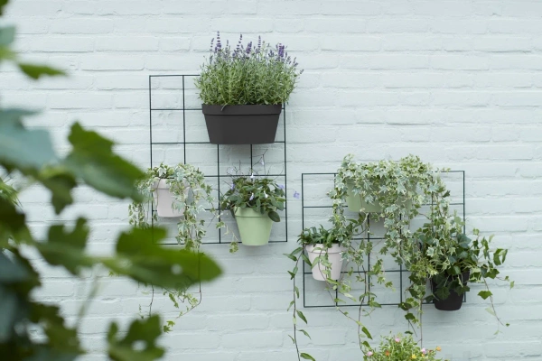 Kratka na doniczki Loft Green Wall Rack czarna Elho