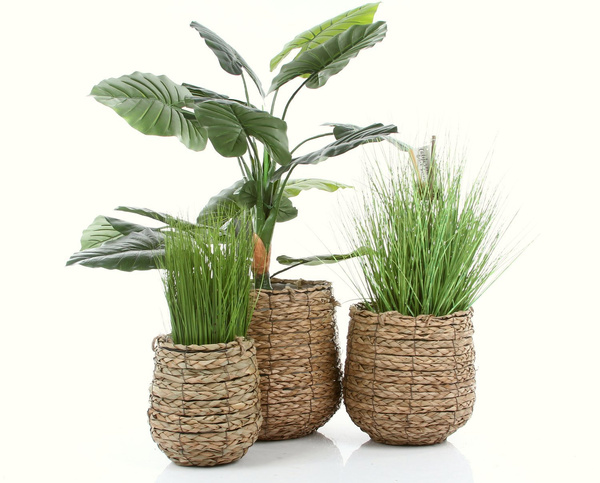 AVALON 3-PAK zestaw doniczek wiszących lub stojących z trawy morskiej