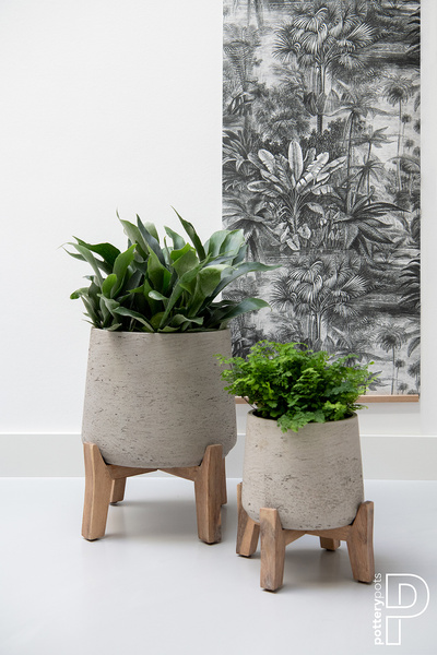 Feet Low XS 28/14 Niskie drewniane nóżki pod doniczkę