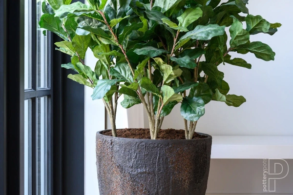 Oliver L 70/83 duża wysoka donica kamienna brązowa ostryga