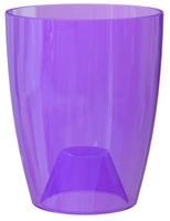 fioletowy / przezroczysty