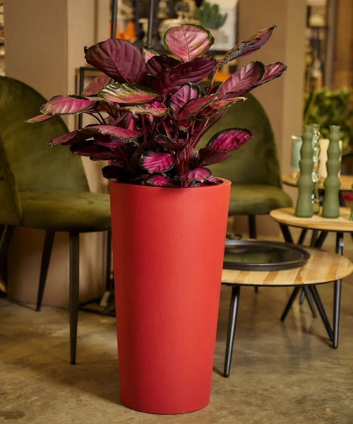 Tuit Raw 40/75 donica wysoka z wkładem brick red