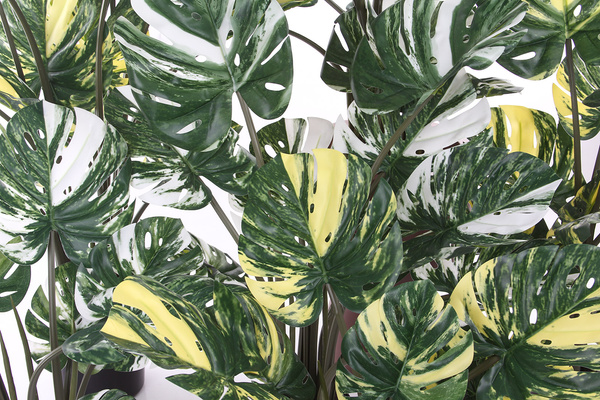 Sztuczna Monstera dziurawa Variegata żółta 60 cm