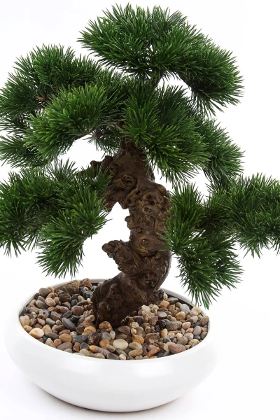 Sztuczne drzewko Bonsai Pinus Sosna 37 cm w białej doniczce