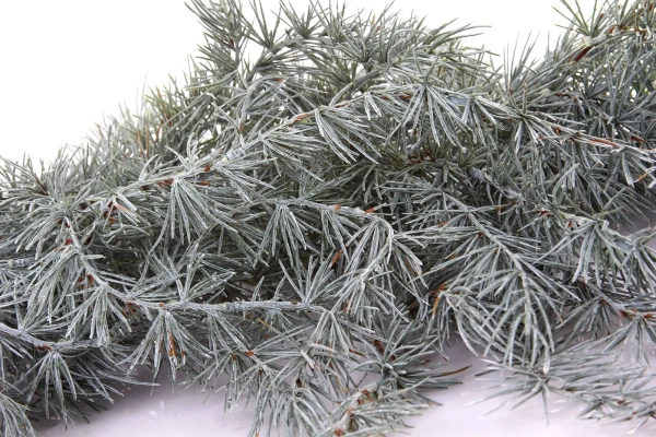 Sztuczny Cedr oszroniony długa girlanda 185 cm