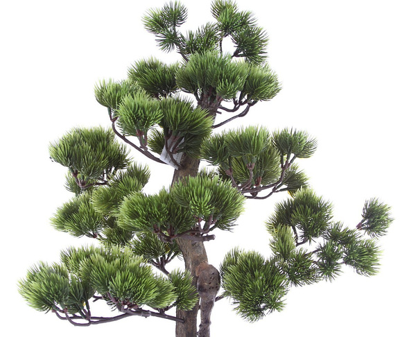 Sztuczne drzewko Bonsai Sosna Pinia 60 cm w doniczce