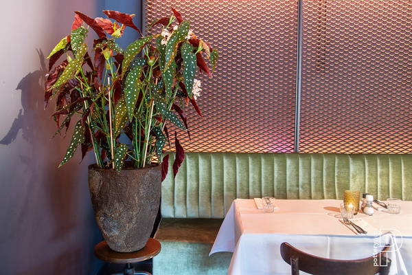 Bernd L 53/60 naturalna brązowa donica ostryga / oyster