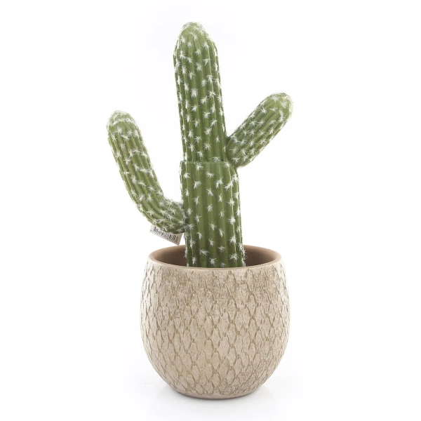 Madeira 14/14 osłonka kremowa z ceramiki