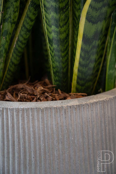 Pax L 55/48,5 ciemnoszara duża donica kamienna prążkowana