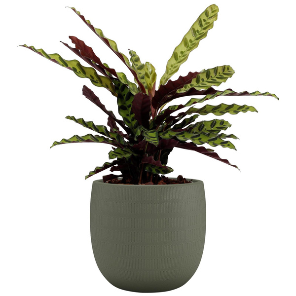 AURA 25/22 doniczka ceramiczna z teksturą oliwkowa