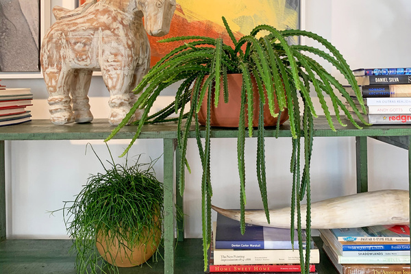 CIBELE Bowl 29/14 misa ceramiczna musztardowa