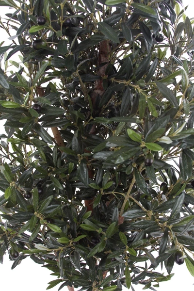 Sztuczna Oliwka 150 cm drewniany rozgałęziony pień